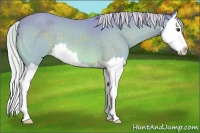 Horse Color:Watercolor Silver Brown Splash
