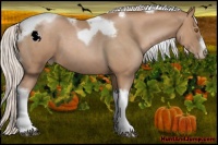 Horse Color:Silver Blue Roan Pearl Tobiano Frame 