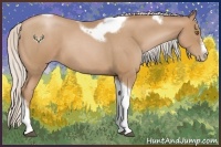 Horse Color:Silver Blue Roan Pearl Tobiano Frame 