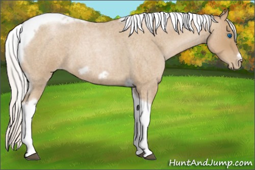 Horse Color:Silver Blue Roan Pearl Tobiano Frame 