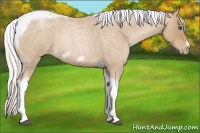 Horse Color:Silver Blue Roan Pearl Tobiano Frame 