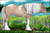 Horse Color:Silver Blue Roan Pearl Tobiano Frame 