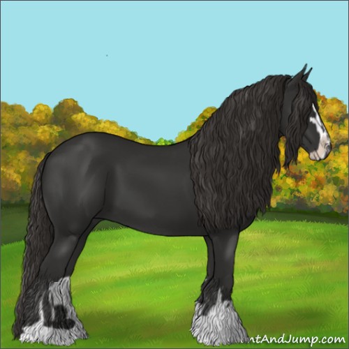 Horse Color:Liver Chestnut Sabino 