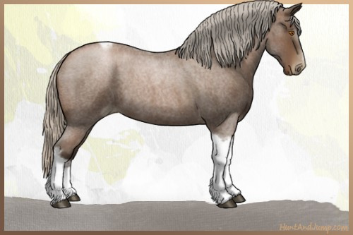 Horse Color:Gray Silver Blue Roan Pearl Tobiano Frame 