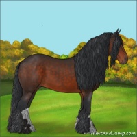 Horse Color:Brown 