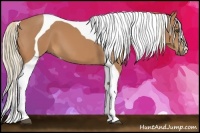 Horse Color:Chestnut Tobiano