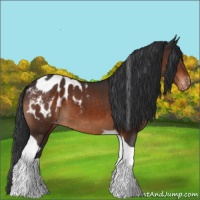 Horse Color:Brown Tobiano Blanket 