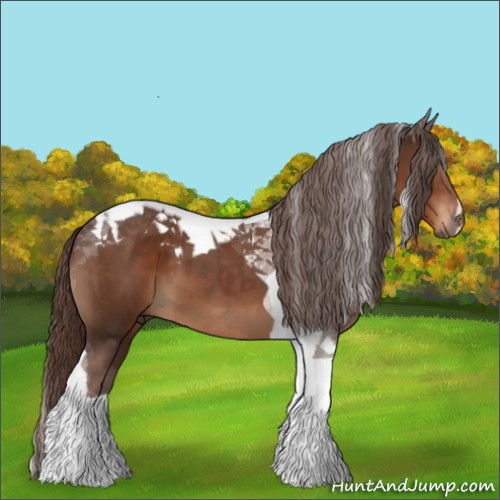 Horse Color:Liver Chestnut Tobiano 