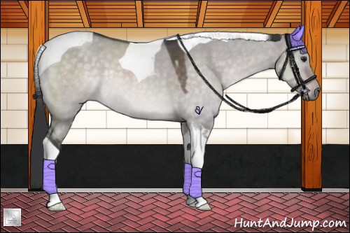 Horse Color:Platinum Brown Roan Dun Tobiano Rabicano 