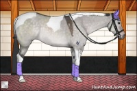 Horse Color:Platinum Brown Roan Dun Tobiano Rabicano