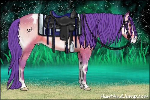 Horse Color:Watercolor Sable Champagne Onyx Appaloosa 