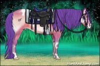 Horse Color:Watercolor Sable Champagne Onyx Appaloosa 