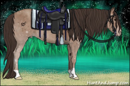 Horse Color:Classic Champagne 