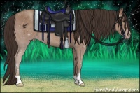 Horse Color:Classic Champagne 