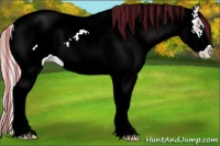 Horse Color:Painted White Spotted Silver Bay