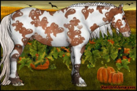 Horse Color:White Spotted Silver Bay Splash Appaloosa Rabicano 