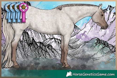 Horse Color:Chocolate Silver Grullo Roan 