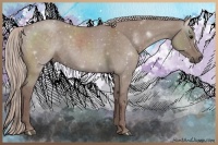 Horse Color:Chocolate Silver Grullo Roan