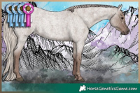 Horse Color:Chocolate Silver Grullo Roan 