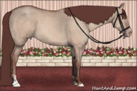 Horse Color:Chocolate Sable Champagne Dun Sabino