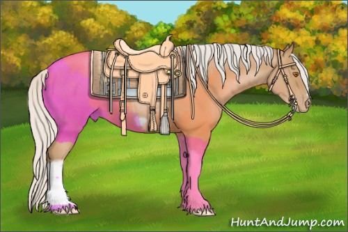 Horse Color:Silver Blue Roan Pearl Tobiano Frame