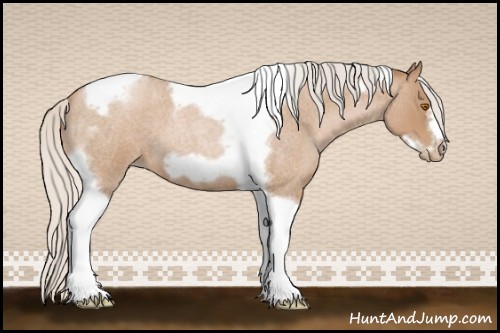 Horse Color:Silver Blue Roan Pearl Tobiano Frame 