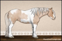 Horse Color:Silver Blue Roan Pearl Tobiano Frame 