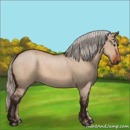 Horse Color:Silver Brown Dun
