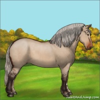Horse Color:Silver Brown Dun 