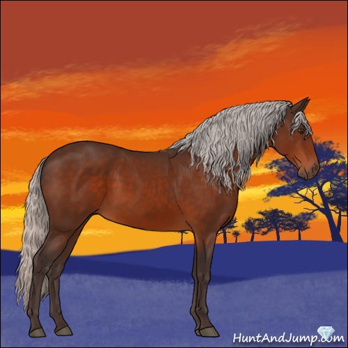 Horse Color:Silver Brown 
