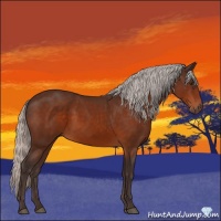 Horse Color:Silver Brown