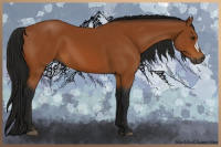 Horse Color:Gray Bay 