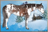 Horse Color:White Spotted Bay Ice Splash Appaloosa 