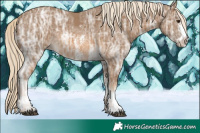 Horse Color:Chocolate Palomino Ice Sabino 