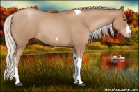 Horse Color:Silver Blue Roan Pearl Tobiano Frame 