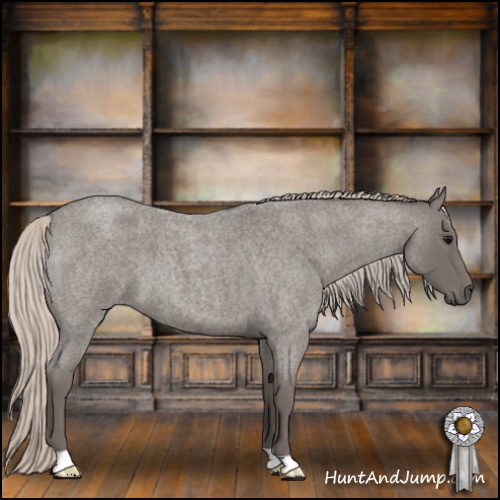 Horse Color:Silver Blue Roan 