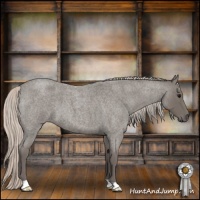 Horse Color:Silver Blue Roan