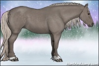 Horse Color:Silver Blue Roan 