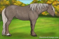 Horse Color:Silver Blue Roan Sabino