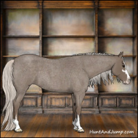 Horse Color:Silver Blue Roan Sabino