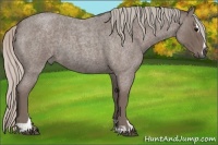 Horse Color:Silver Blue Roan Sabino 