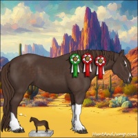 Horse Color:Liver Chestnut Sabino Tobiano 