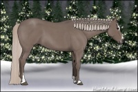 Horse Color:Silver Blue Roan Sabino