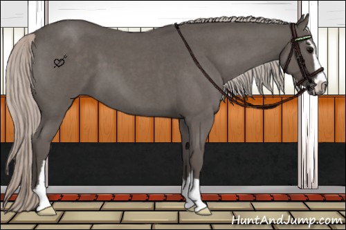 Horse Color:Silver Blue Roan Sabino 