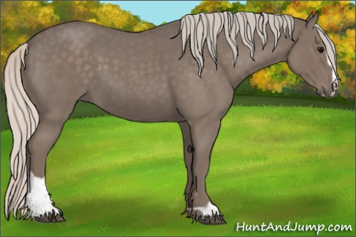 Horse Color:Silver Blue Roan Sabino 