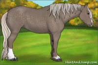 Horse Color:Silver Blue Roan Sabino 