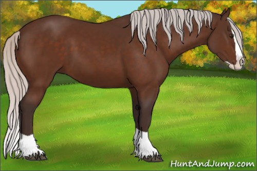 Horse Color:Silver Brown Splash 
