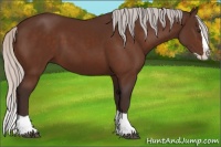 Horse Color:Silver Brown Splash 