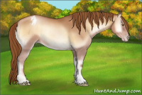 Horse Color:Gray Gold Champagne Onyx Varnish 