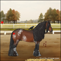 Horse Color:White Spotted Bay 